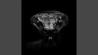 Заманила заплела 