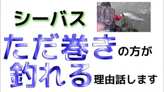 【シーバス】ただ巻きとアクション…結局どっちが釣れる？究極の答えを見つけました！