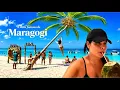 The REALITY of the MOST FAMOUS Beach in Maragogi Alagoas