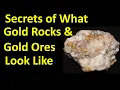 Gold Expert Reveals What raw GOLD Looks Like in Ore Rocks