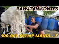 Download Lagu KOK BISA GUNDUL⁉️ KENAPA REWOS HABIS⁉️
