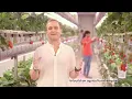 WEH x Fragaria Controlled environment agriculture