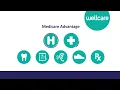 Wellcare 2023