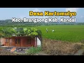 Download Lagu Suasana pedesaan Jawa | keindahan sawah pedesaan | bikin rindu Desa Kertomulyo Brangsong Kendal