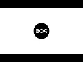 BOA BOA Logo animation