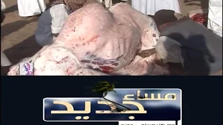 تكية زريبة الشيخ البرعي مساء جديد قناة النيل الازرق 