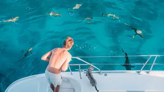 Surrounded by SHARKS 🦈 Let’s Go SWIM!