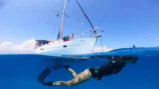 WE LIVE IN AN AQUARIUM!