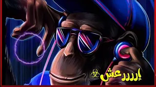 اجدد واجمد حاله واتس عبسلام والسيد حسن ارعش يلا روقان اقسم بالله دندنها