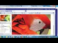 How to access your ebook