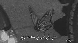 تامر حسني ناسيني ليه بطيء كلمات اغنية Slowed اغاني تامر حسني 