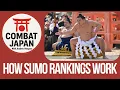 Understanding the Sumo Ranking System Combat Japan