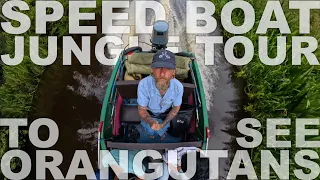 Taking a Speed Boat into the Jungles of Borneo To See Wild Orangutans, Gibbons and Proboscis Monkeys