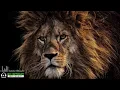 Download Lagu 🔥🦁🔥KGF THEME SONG/KGF BGM FT POWERFUL PEOPLE MAKE PLACES POWERFUL ROCKY(8D🎧)[@nocopyrightfreemusics]