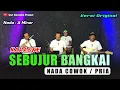 Lagu SEBUJUR BANGKAI KARAOKE NADA COWOK/PRIA (Rhoma Irama) Versi Original
