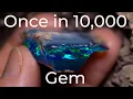 6000 investment - The best cut ever