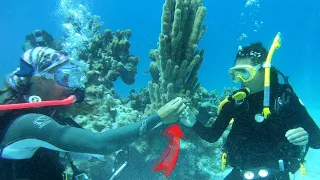 Cutest PROPOSAL ever | Young sailors get engaged while Scuba diving
