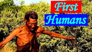 the emergence of homo sapiens the african origins of humans