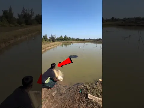 #bts