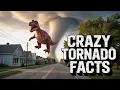 20 Fun Facts About Tornadoes You Probably Didn t Know