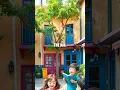 The Rainbow Canopy A Learning Odyssey