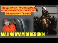 Download Lagu Detik Detik Penangkapan Djoko Tjandra di Malaysia