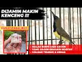 Download Lagu SETINGAN TINGGI❗UNTUK MAKSIMALKAN VOLUME, MATERI \u0026 MENGGACORKAN SOGON❗