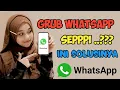 GRUP WA SEPI | CARA MERAMAIKAN GRUP WA YANG SEPI | CARA AGAR WA RAME SETIAP HARI