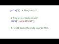 Adding Comments in Python