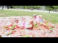 Lambda Chi Alpha Watermelon Bust CCU