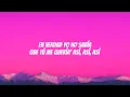Feid - NOS DESCONOXIMOS (Lyric/Letra)