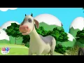 La Vaca Lola, Señora Vaca y muchas más Canciones Infantiles de la Granja !