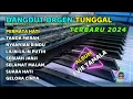 Download Lagu DANGDUT ELECTONE 2024 FULL ALBUM - EVIE TAMALA