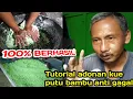 Download Lagu TUTORIAL PEMBUATAN ADONAN PUTU BAMBU ANTI GAGAL DIJAMIN BERHASIL