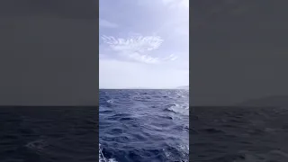 The speedy captain mum 👩‍✈️⛵️ #sailingfamily #boatlife #sailing