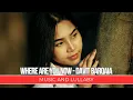 Download Lagu Where Are You Now - Davit Barqaia