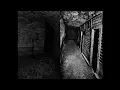 Profectum Iri (Netherlands) - Cacophonia Regitus