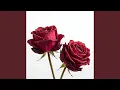 Download Lagu Bukan Karena Tak Cinta