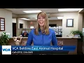 VCA Animal Hospital Impressive5 Star Review by John M