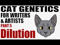 Cat Genetics for Writers Artists part 5 Dilution CC