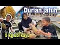 DURIAN JATUH DAN UBI KAYU 5 kg⁉️ BISA BUAT KOLAK DURIAN DAN KRIPIK UBI