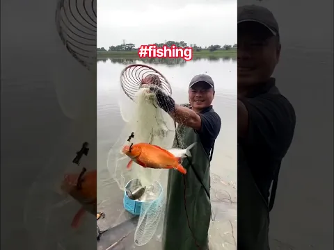 Fishing is so fun | I caught expensive koi #fishing
