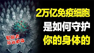 Download 没有免疫系统身体会发生什么？第二复杂的生物系统是如何保护我们 MP3