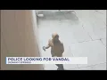 Police investigating after 6 businesses vandalized near Antique Village in Denham Springs