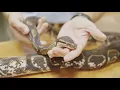 Welcome to All Creatures Animal Hospital