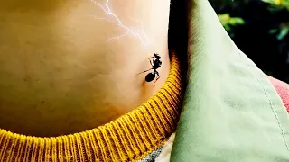 ants bit him this teen got superpowers 