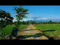 Download Lagu Story WA Aesthetic 30 Detik | Yeni Inka - Angel ( Ayumu tenanan, ora editan)