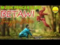 Download Lagu Musik Pencak Silat Betawi | Gambang Kromong Jali-jali