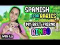Learn and Play with Bingo Pawsome Spanish Lessons for little language learners