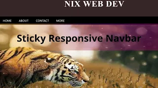 Sticky Navigation Bar Sticky navbar Only CSS NO JAVASCRIPT